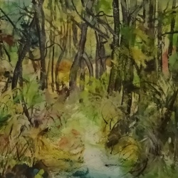 Automne en Auvergne